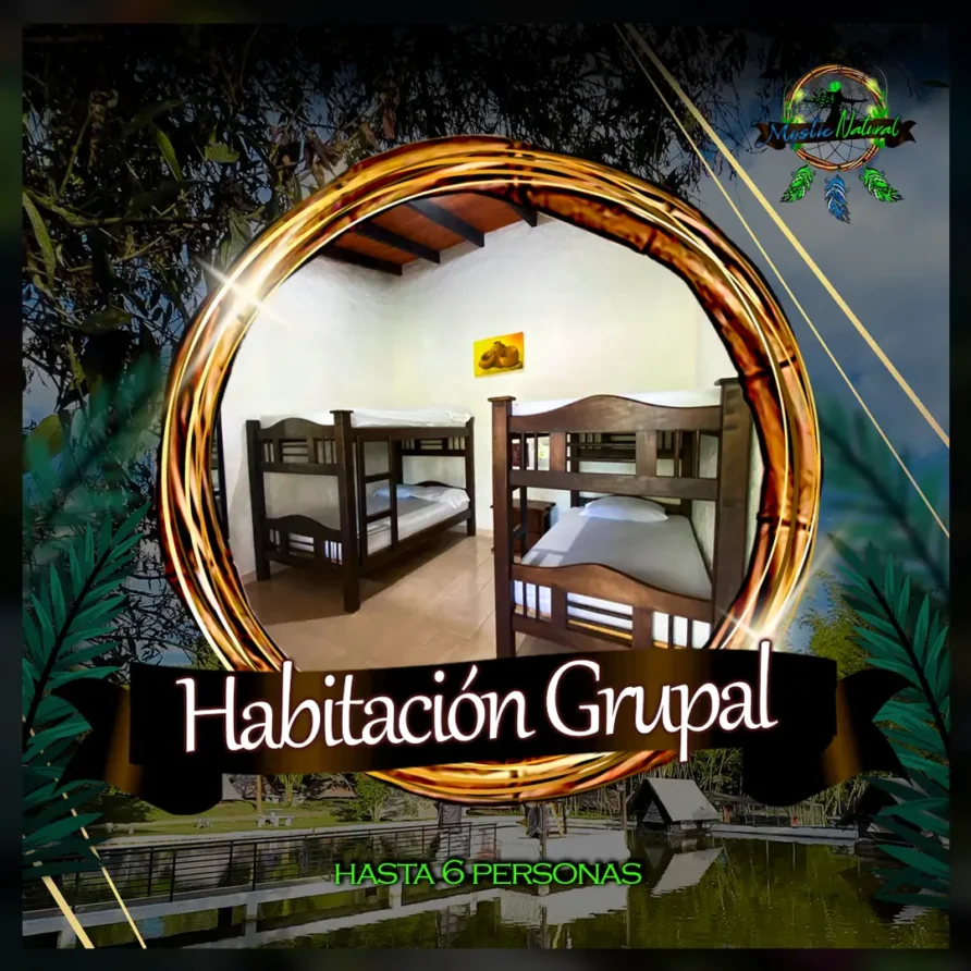 tacio204129n grupal hasta 6 personas