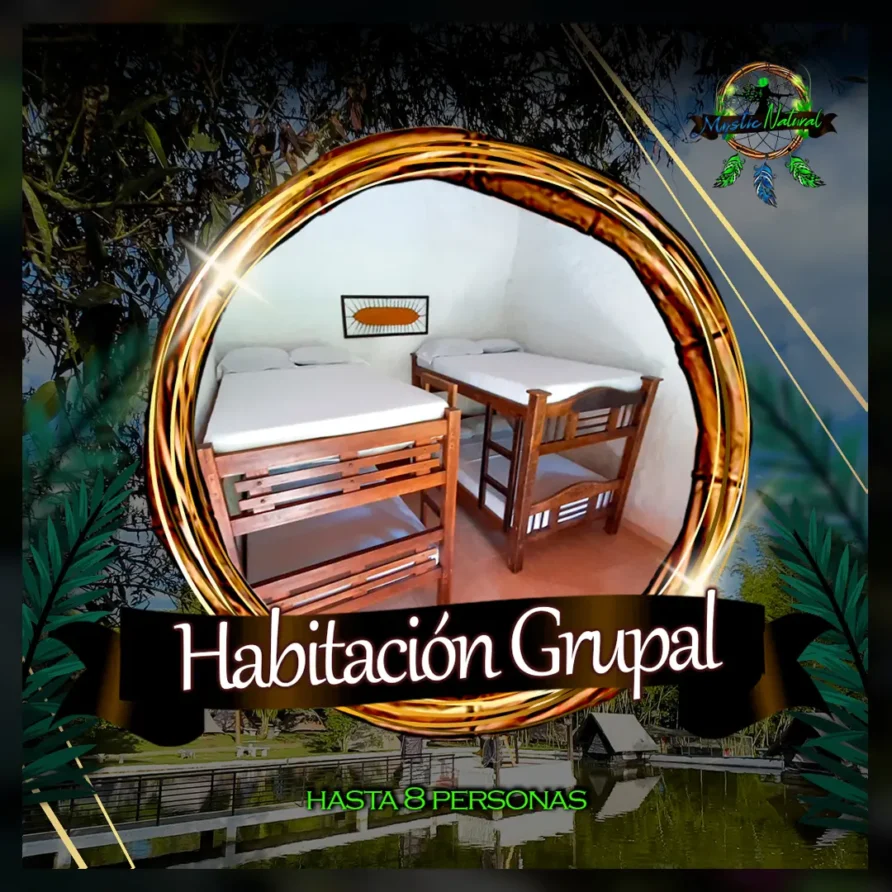 tacio204129n grupal hasta 8 personas