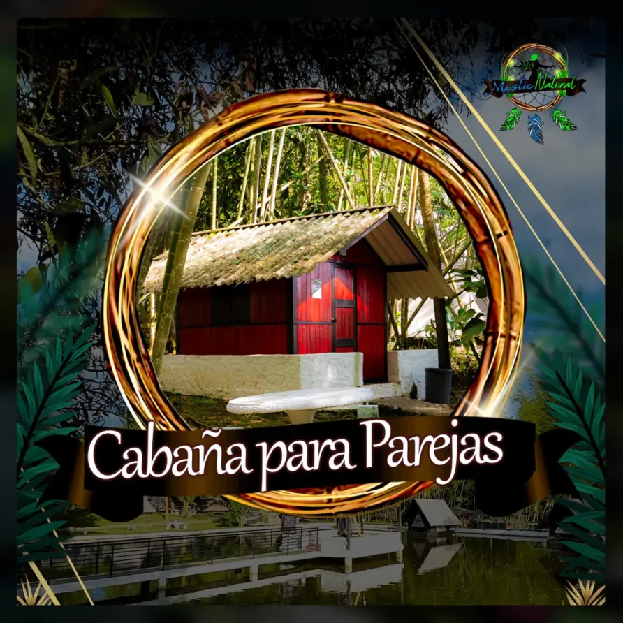 caban204131as