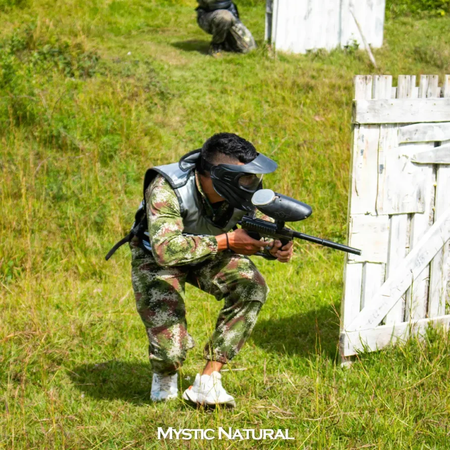 mg 4247