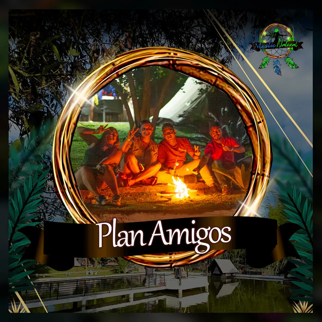 plan amigos