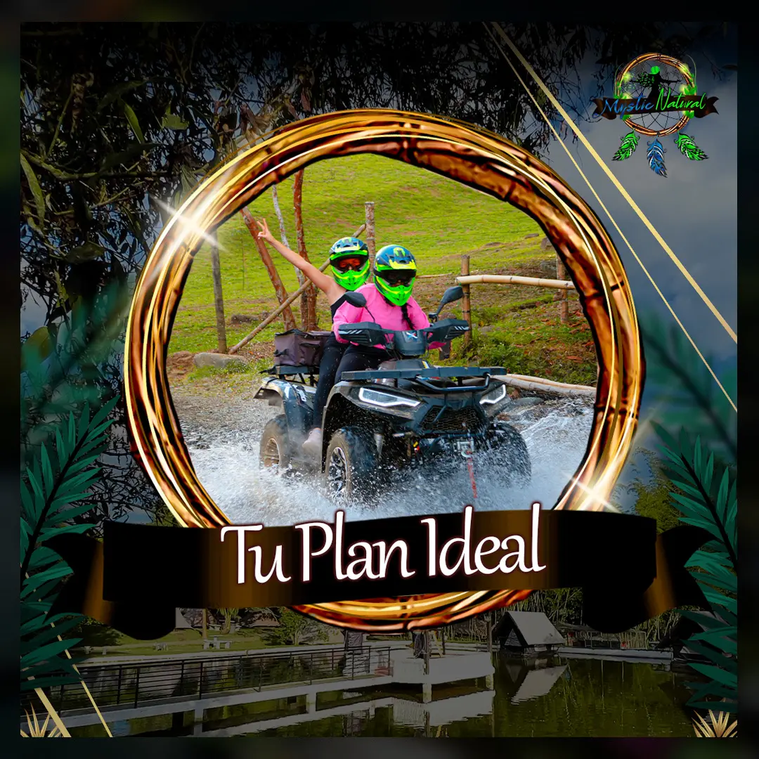 tu plan ideal